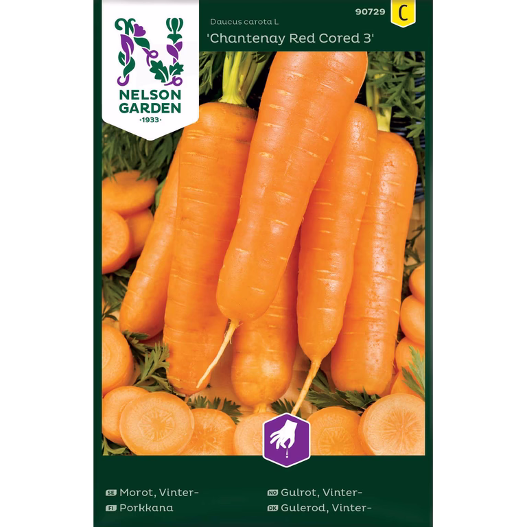 Vintergulrot 'Chantenay Red Cored 3'