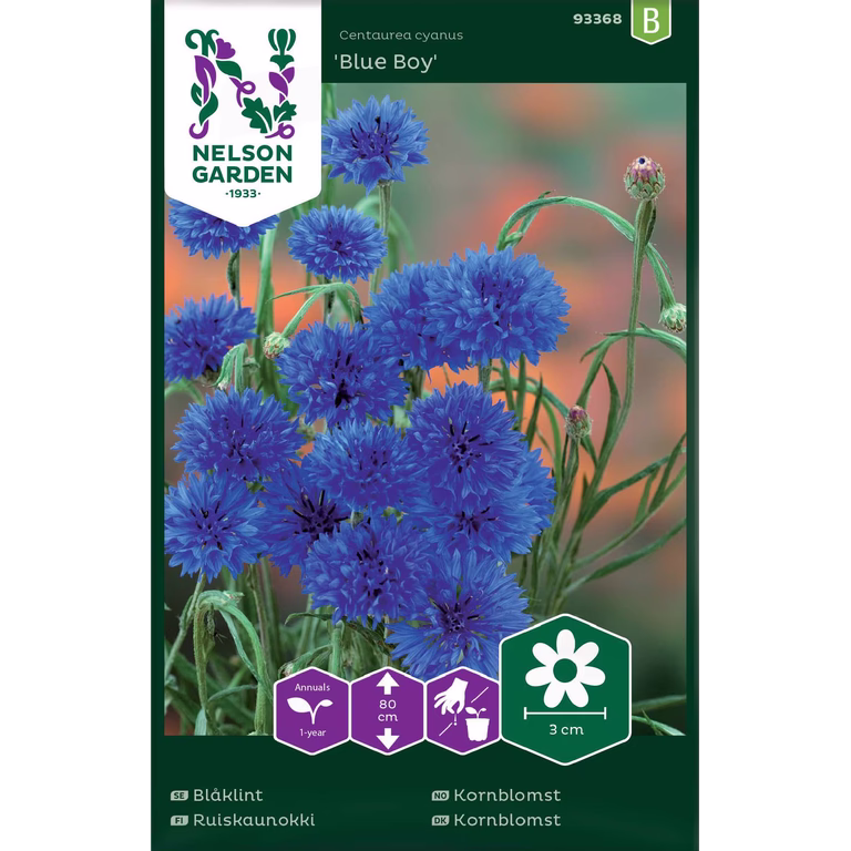 Kornblomst 'Blue Boy'