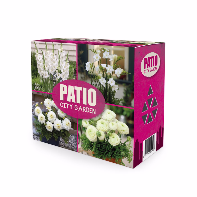 Blomsterløk miks ‘Patio City Garden’