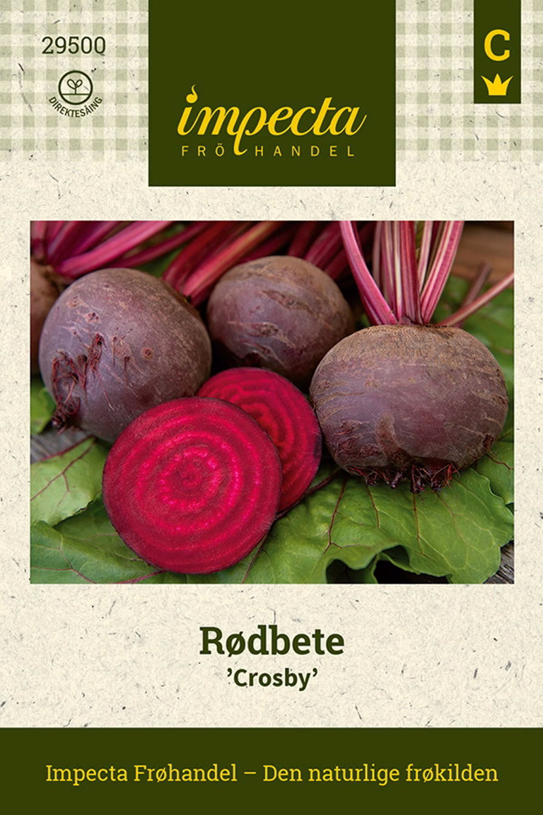 Rødbete 'Crosby'