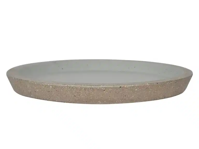 Saucer Joel 