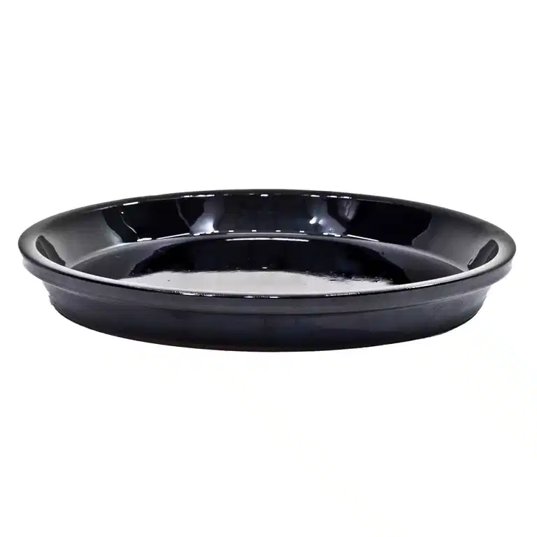 Saucer Nova