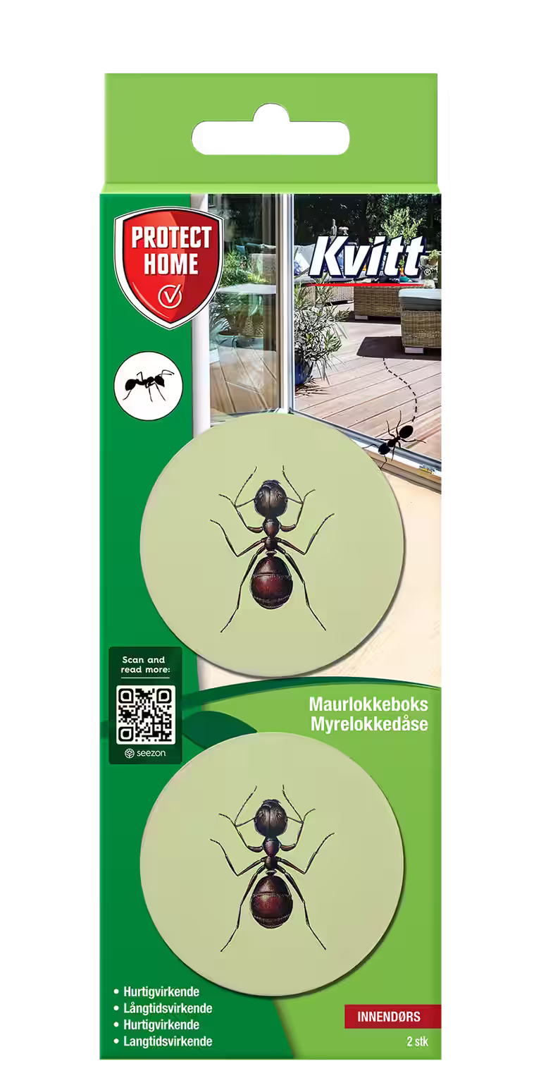 Maurlokkeboks 2 stk