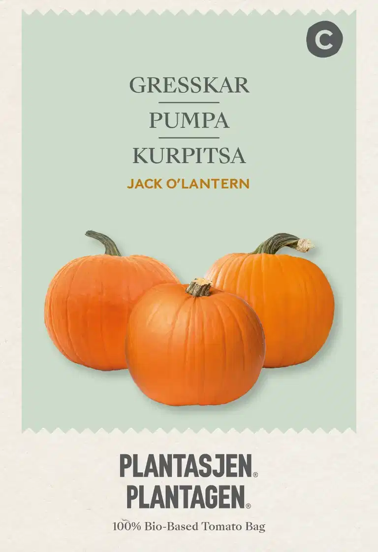 Jack O'Lantern pumpkin - 3 g