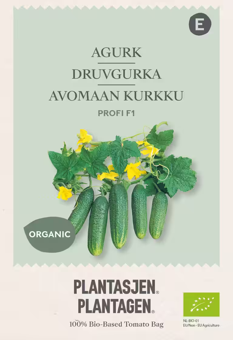 Sylteagurk 'Profi' F1
