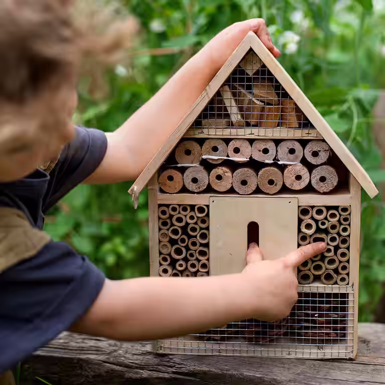Bygg ditt eget insekthotell – på sju enkle trinn