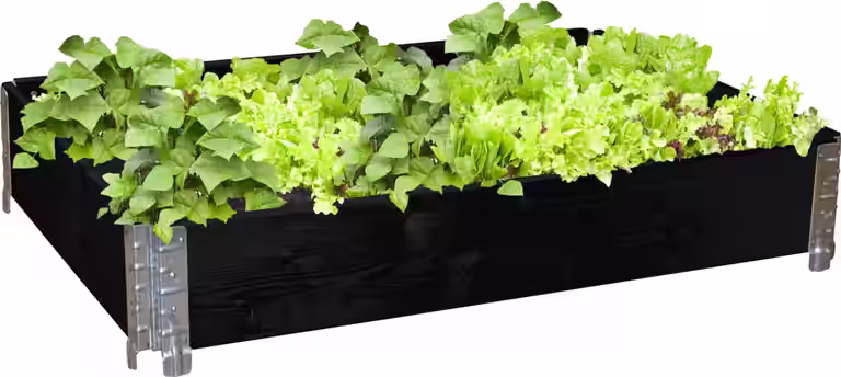 Plantekasse