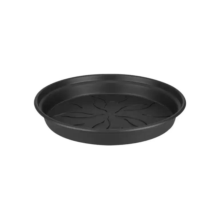 Green basics saucer D25 black
