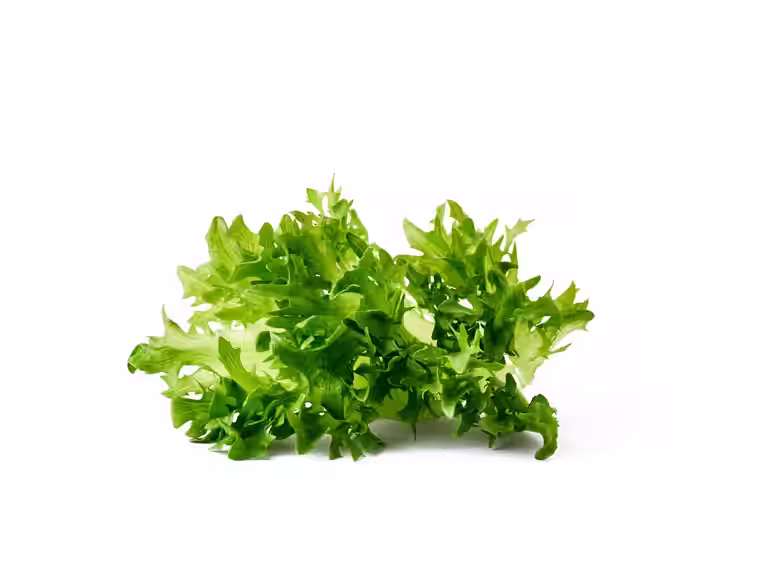 Salat