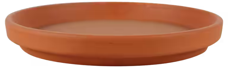 Fat Terrakotta