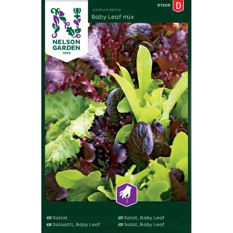 Sallat, Baby Leaf, mix