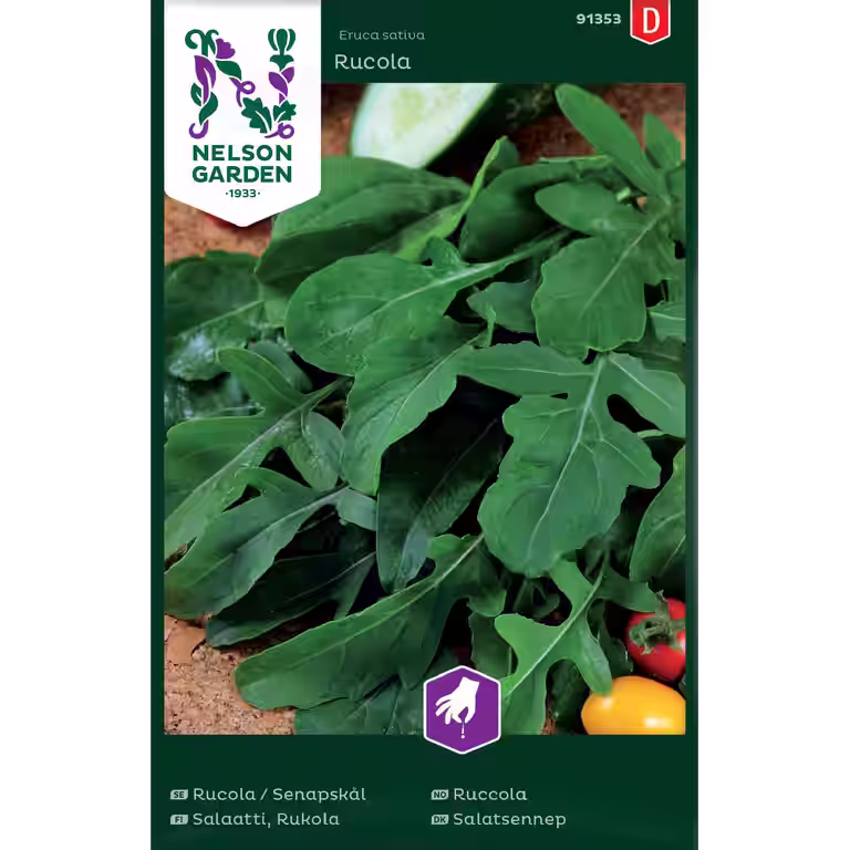 Ruccola