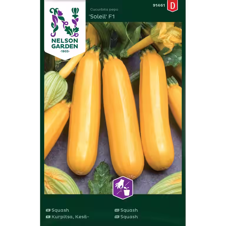 Squash 'Soleil'