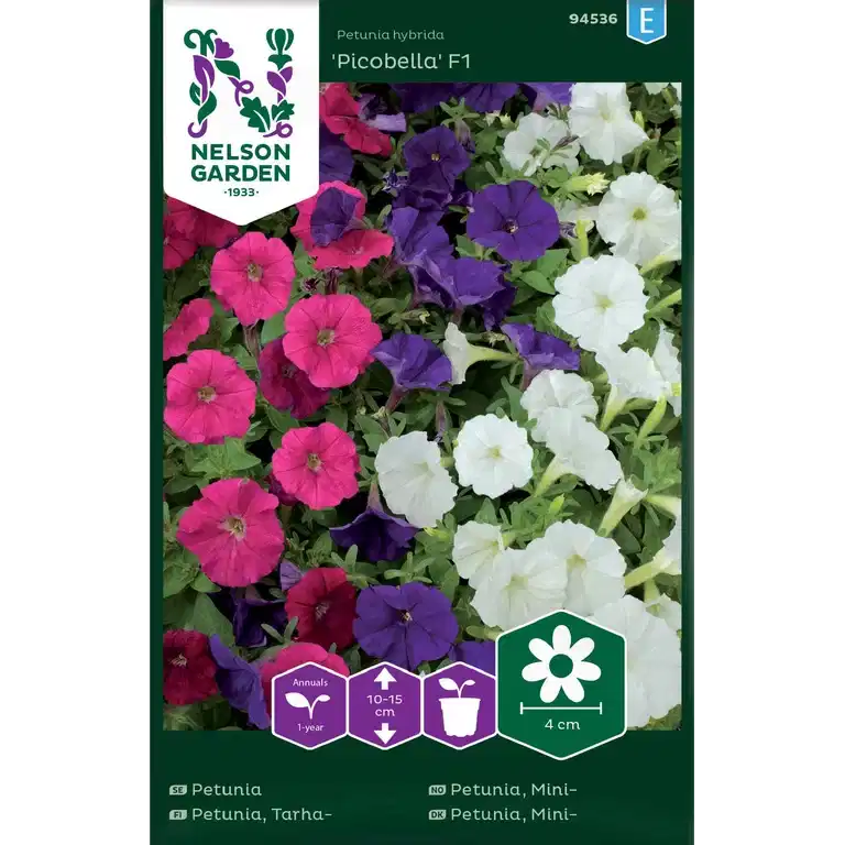 Petunia, Picobella F1, mini, b