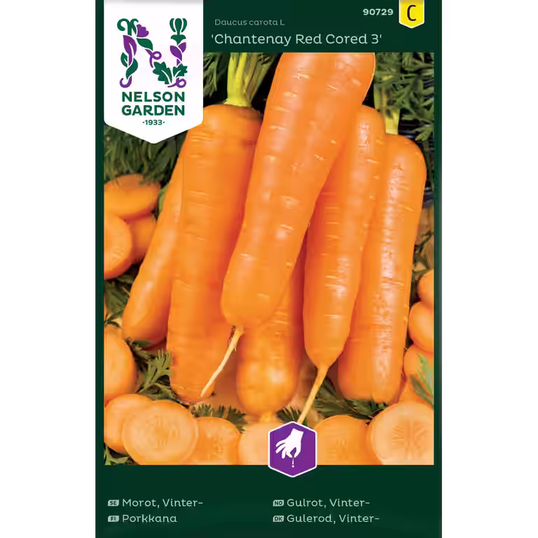 Vintergulrot 'Chantenay Red Cored 3'