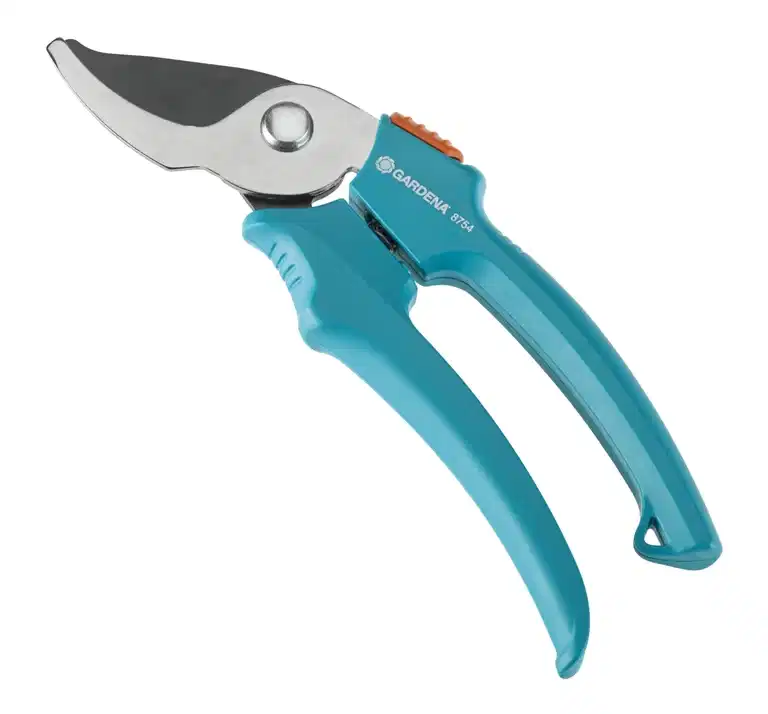Secateur Classic