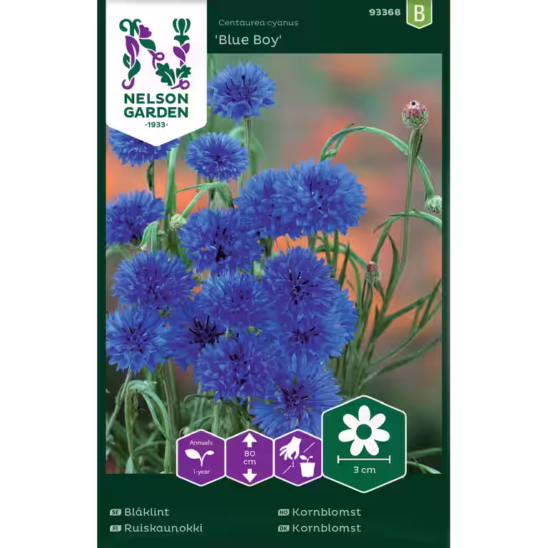 Kornblomst 'Blue Boy'