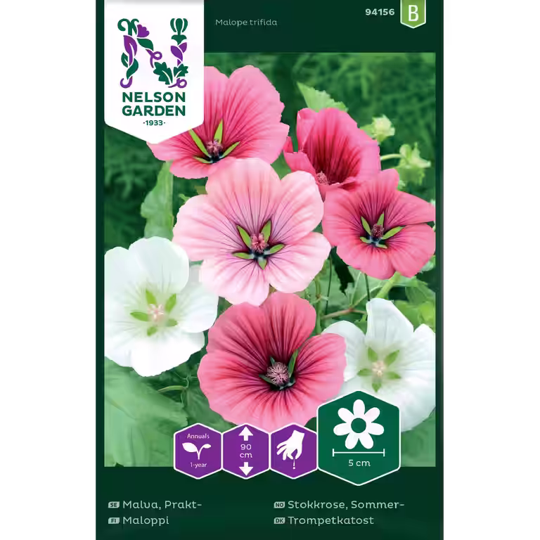 Sommerstokkrose