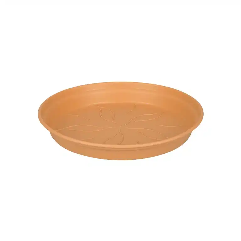 Saucer Green basics