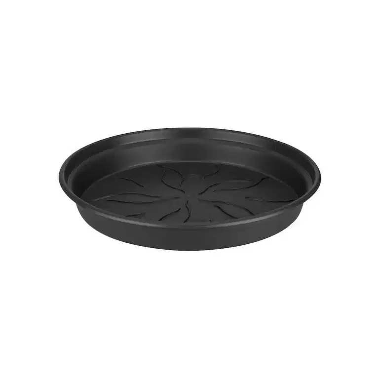 Saucer Green Basics