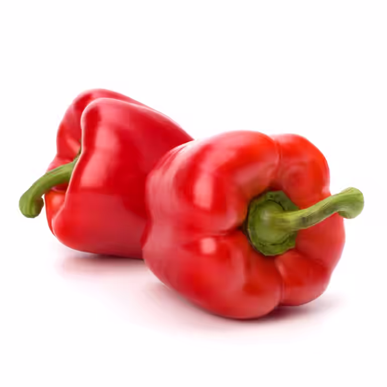 Paprika ‘Robertina’