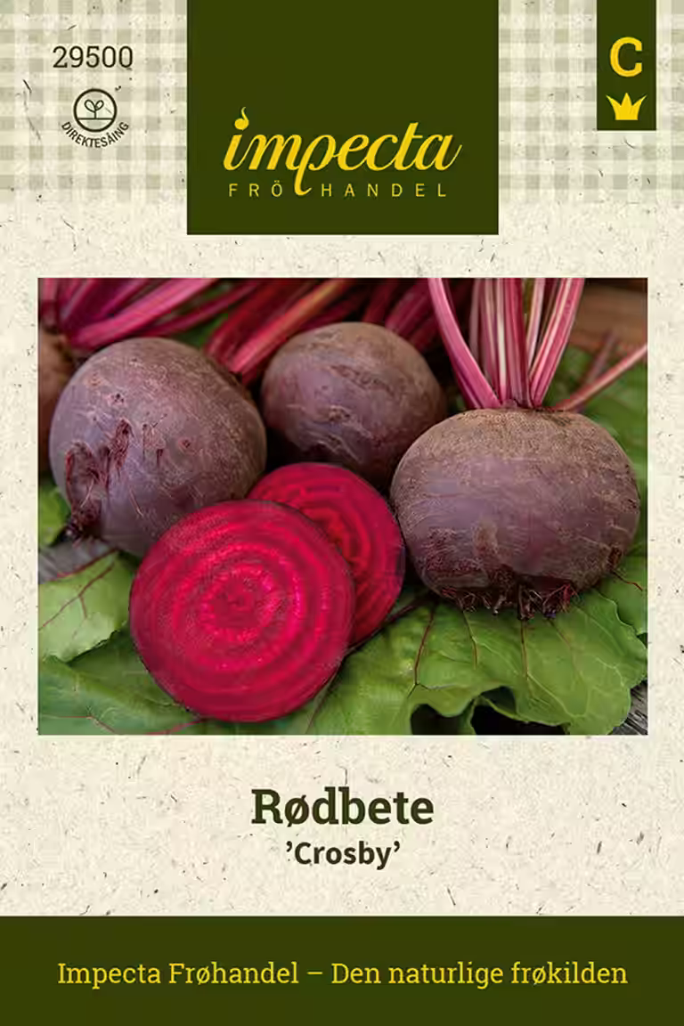 Rødbete 'Crosby'