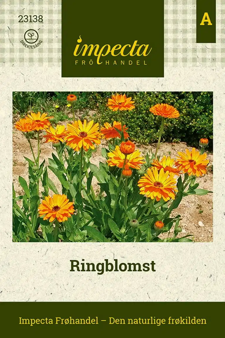 Calendula officinalis