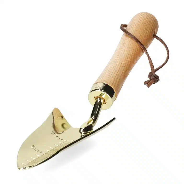 Transplanter