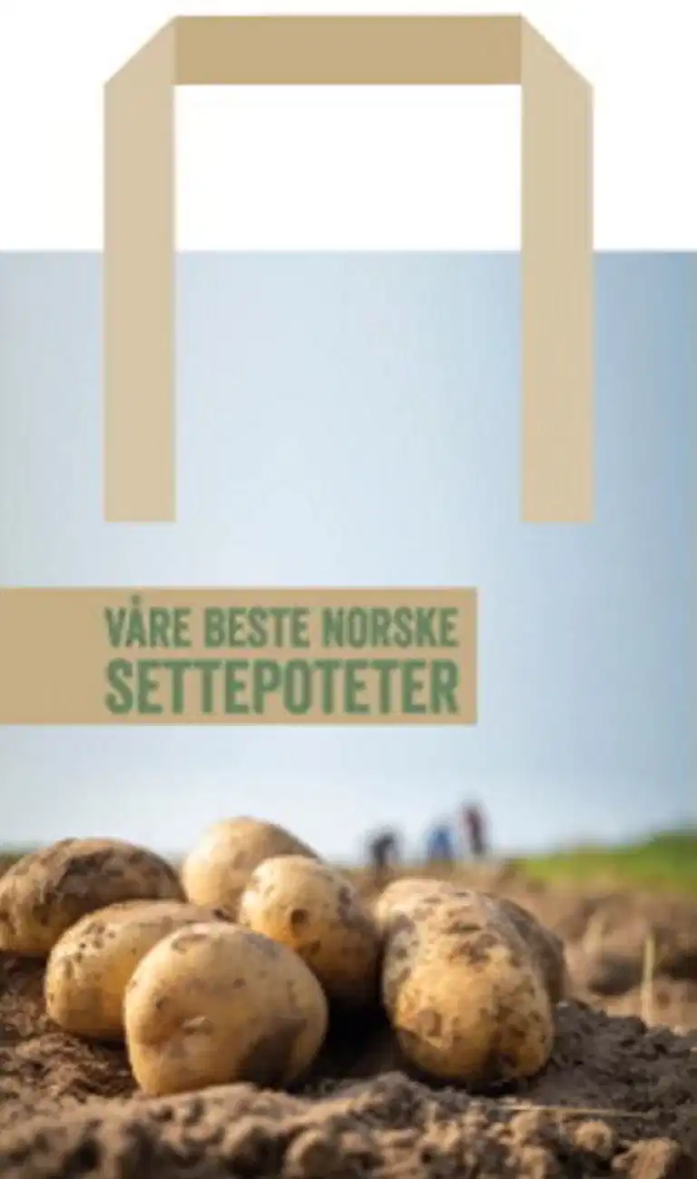 Mixpakke 4 sorter