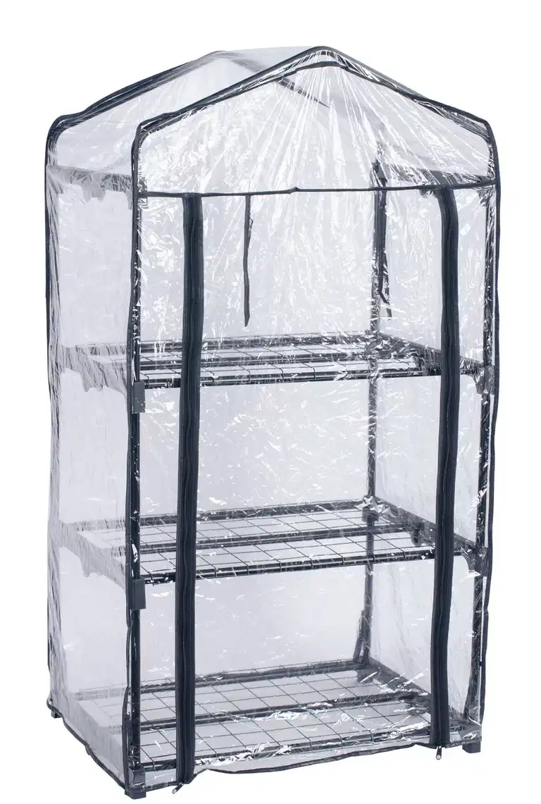 Sally Greenhouse