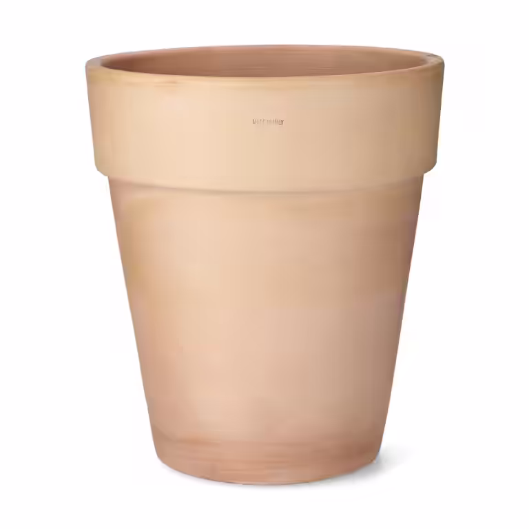Potte Vaso