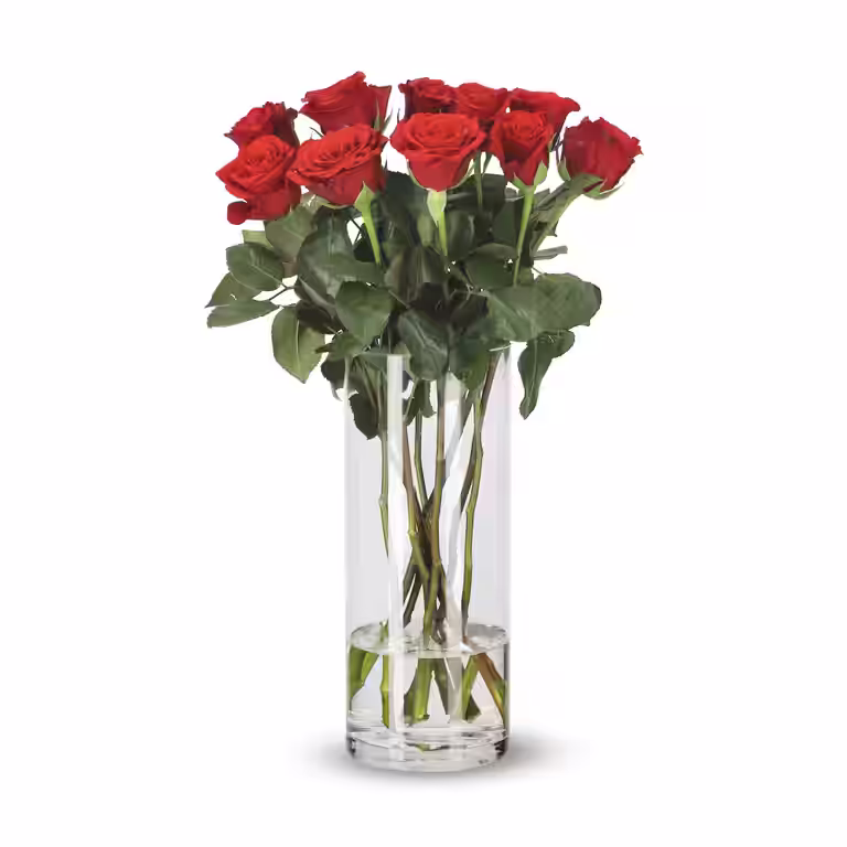 Roser 10pk