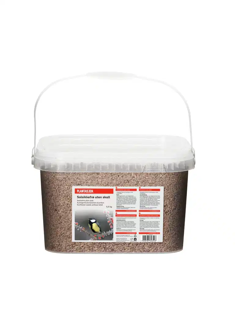 Sunflower seed grains in a buc