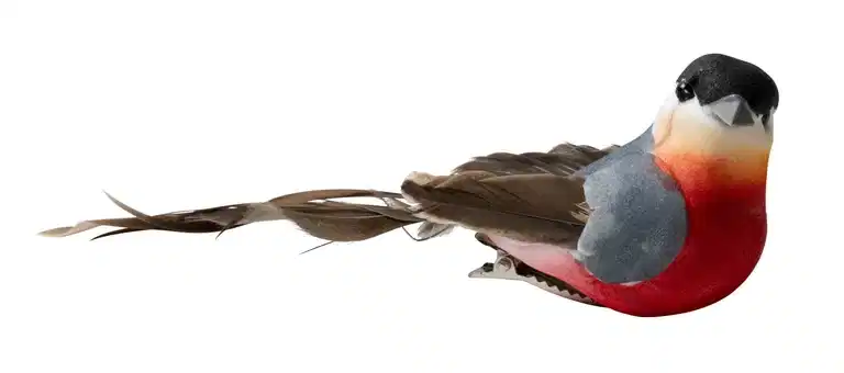 Clip Bullfinch 