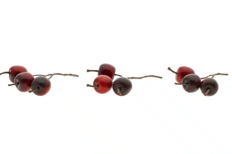 Deco Apple on stem 