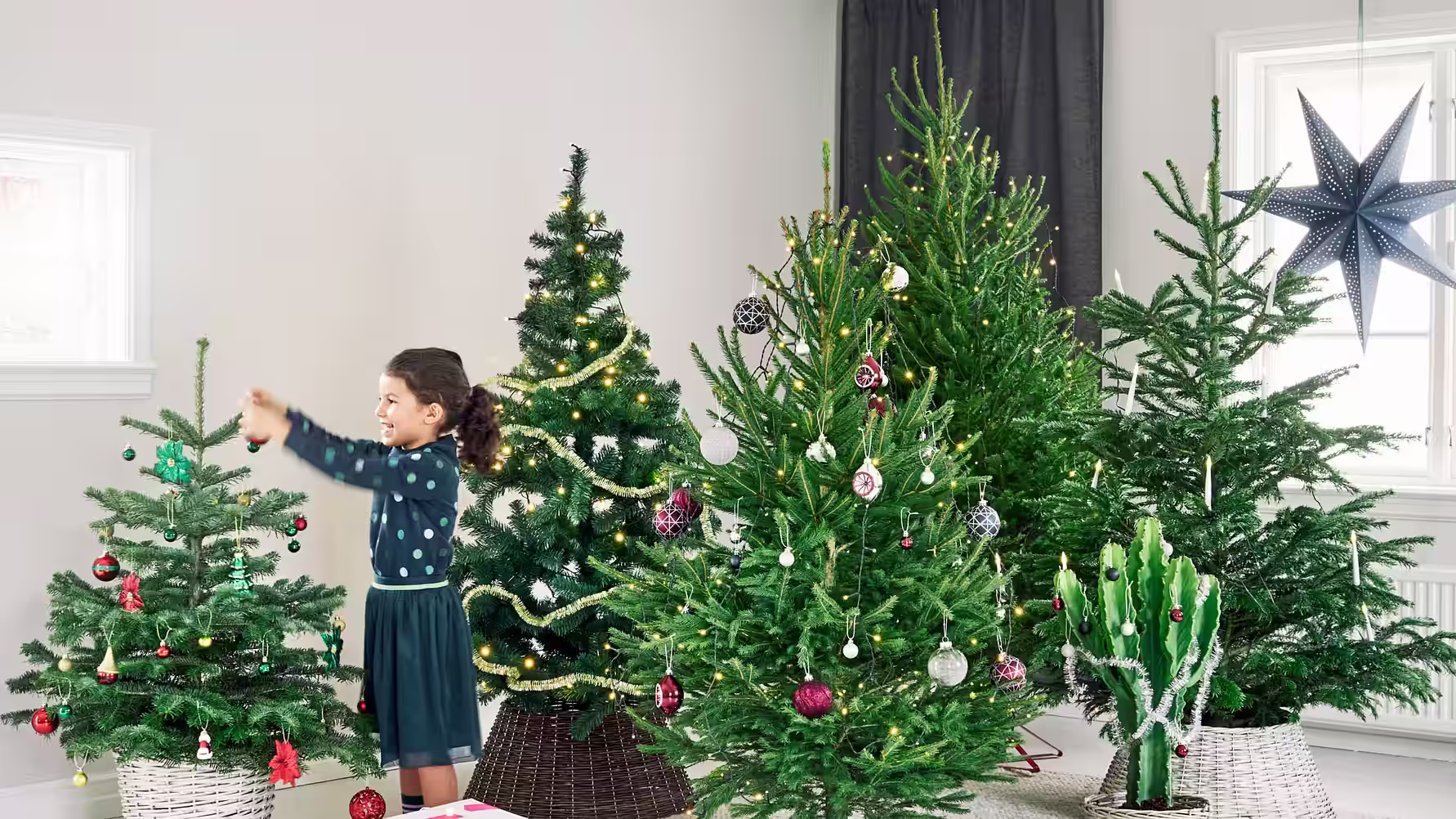 Pynt med planter til jul. Akkurat som du vil.
