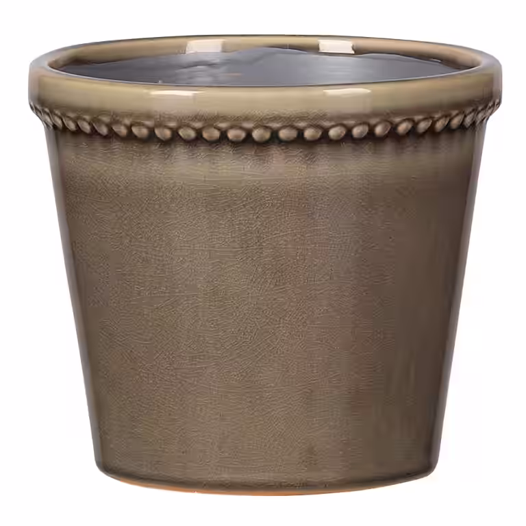 Potte Elliot
