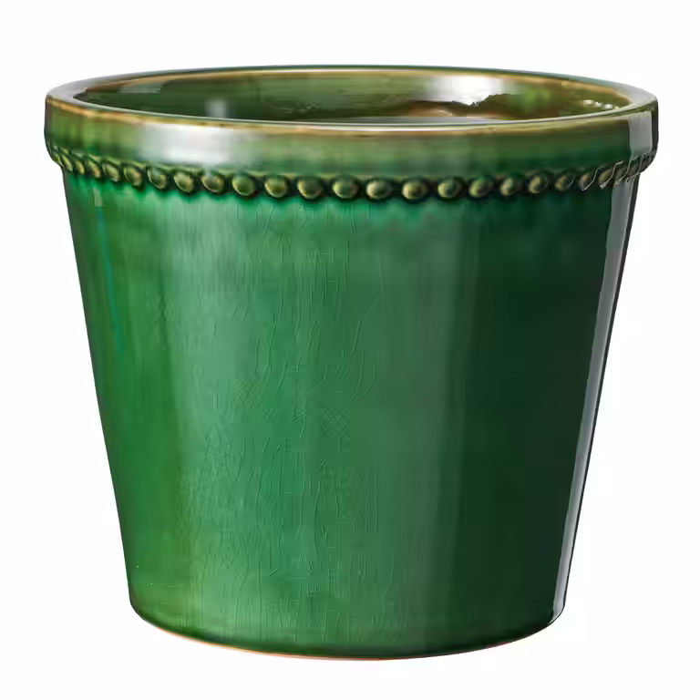 Potte Elliot
