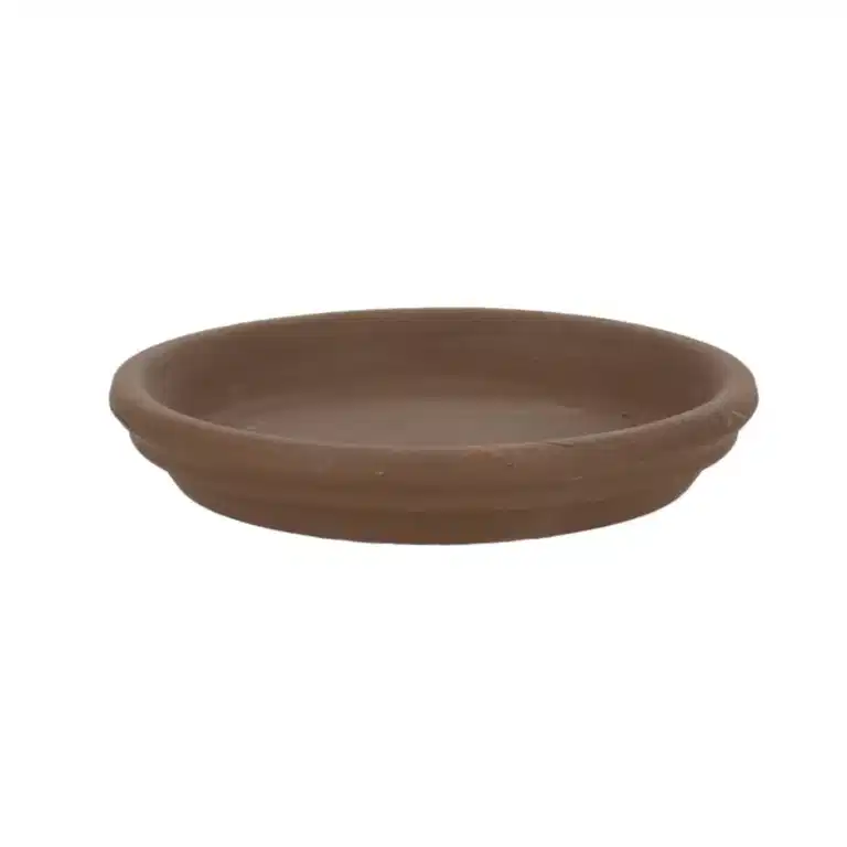 Saucer Aromi 