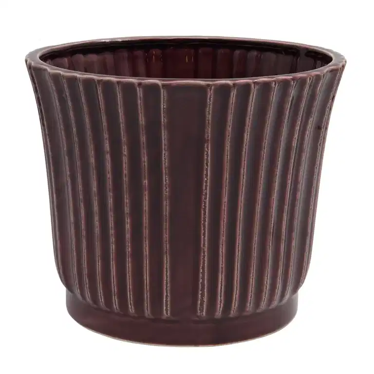 Pot Plum 