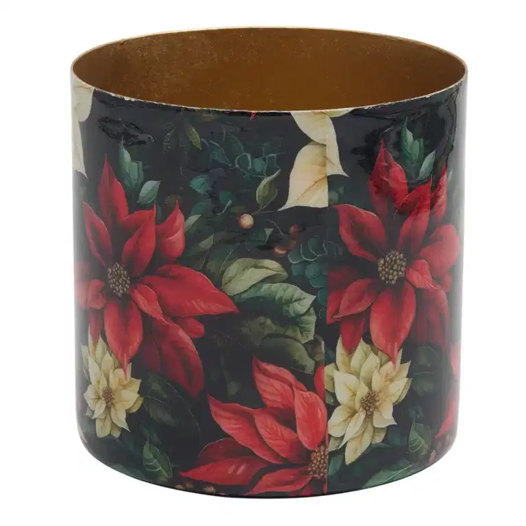 Pot Poinsettia