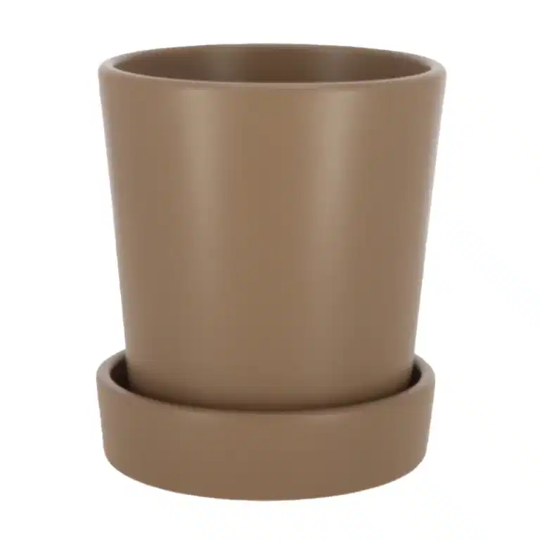 Pot Amy