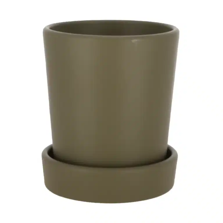 Pot Amy 