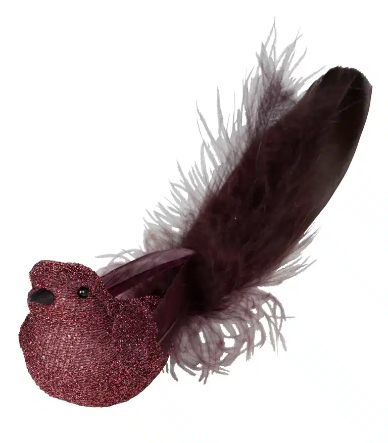 Clip Polly 