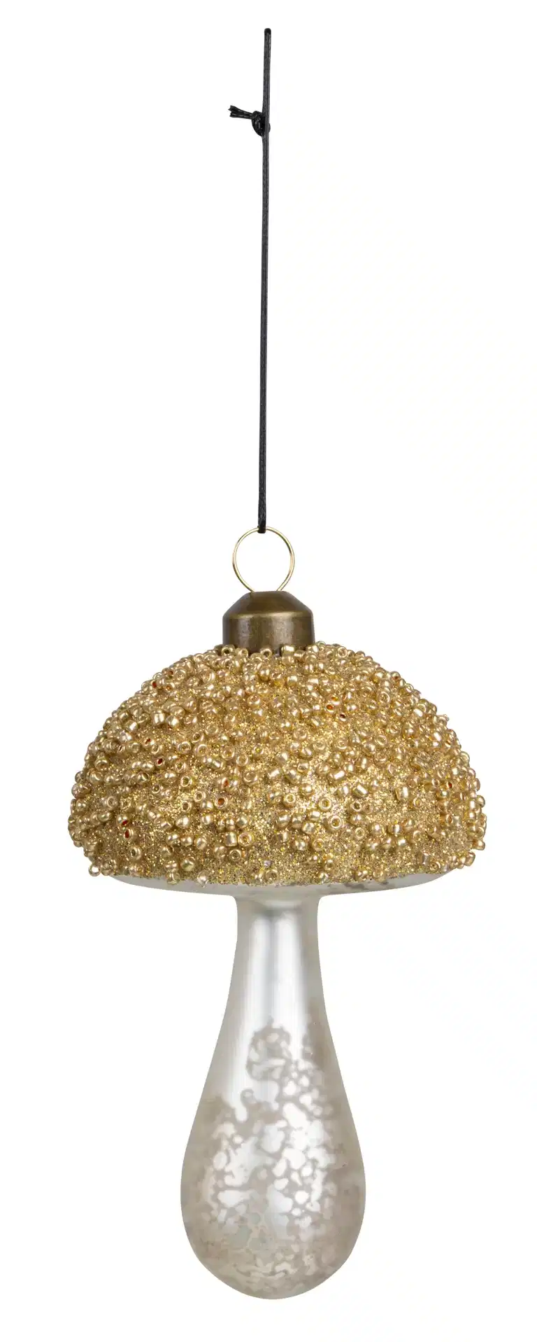 Bulb Mushroom 
