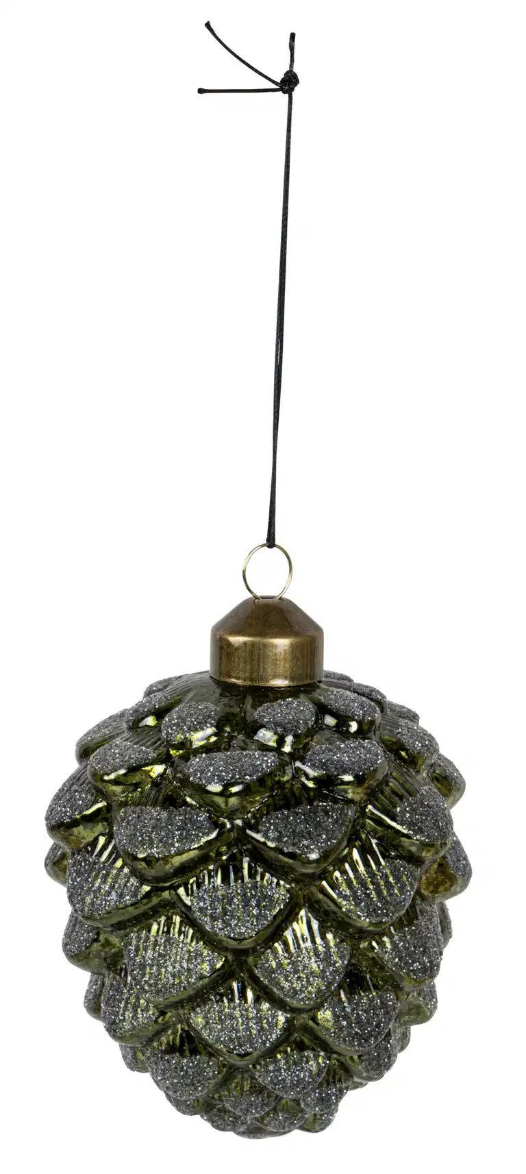 Bulb Evergreen 