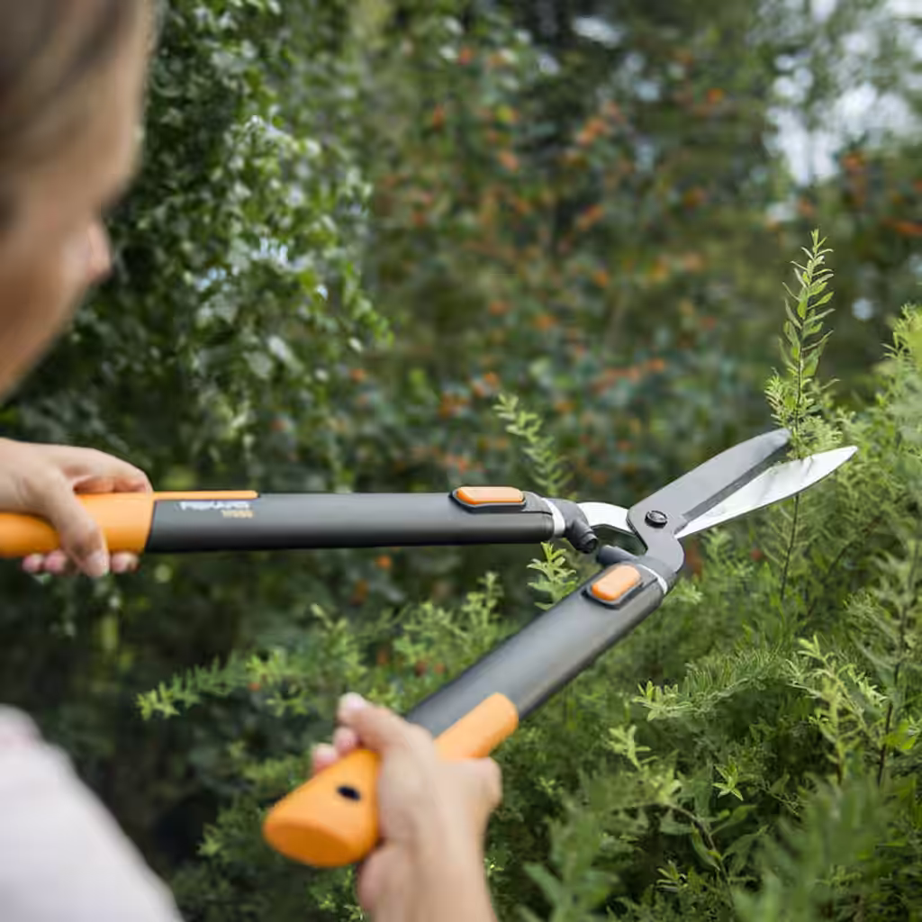 30 % off pruning tools