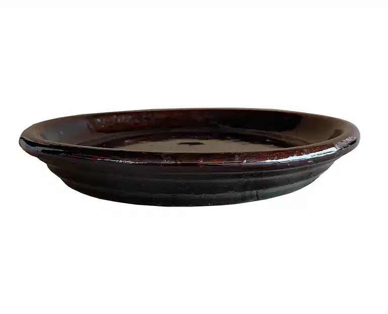 Saucer Bayu