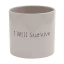Potte I Will Survive