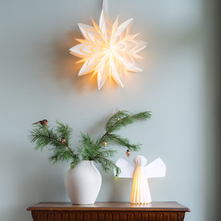 Advent 2024: Decorate your home with plants, lights and decorations
